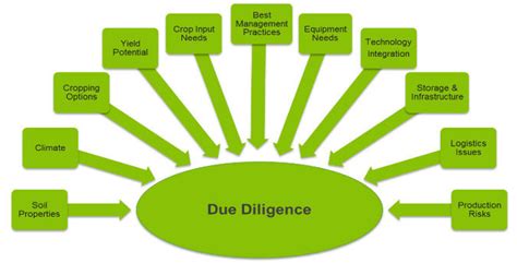 What Is The Meaning Of Due Diligence Bms Bachelor Of Management