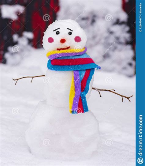 Snowman funny christmas funny snowman funny snowman pictures funny snowman funny snowman funny face cute christmas season snow high definition picture winter decoration holiday. Funny Snowman With A Colorful Scarf And A Sad Face Stock ...