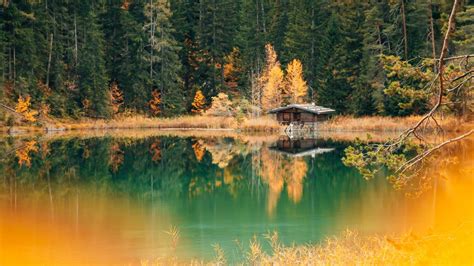Lake House 4k Wallpaper Forest Green Trees Alpine Trees Reflection