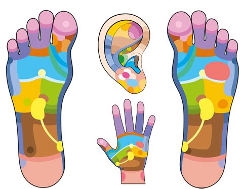 Foot Reflexology Chart Points And Depictions Reviewed By Massage Therapy Ce Institute Llc