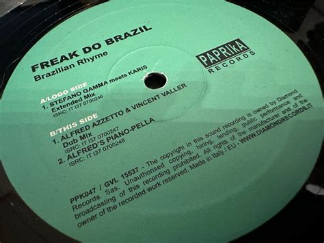 12 Freak Do Brazil Feat Claudia Da Silva Brazilian Rhyme ラテン ハウス