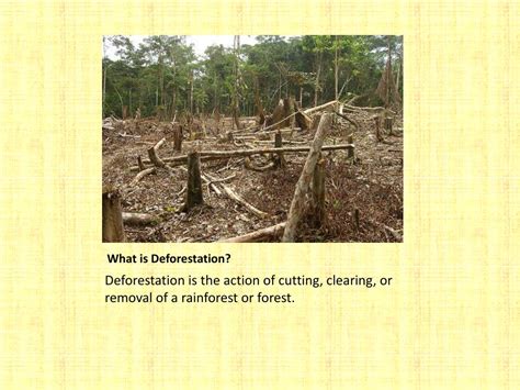 Ppt Deforestation Powerpoint Presentation Free Download Id3775598