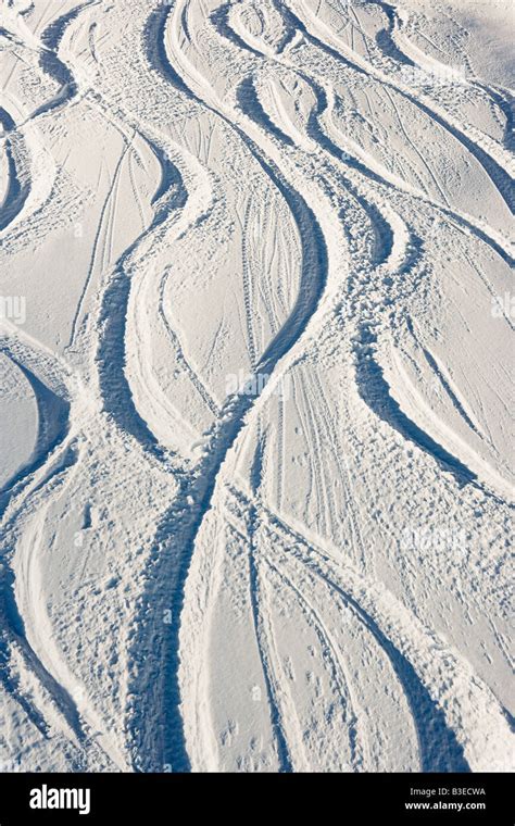 Tracks In Snow Stock Photo Alamy