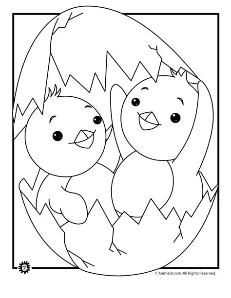 Baby Chicks Coloring Page Woo Jr Kids Activities