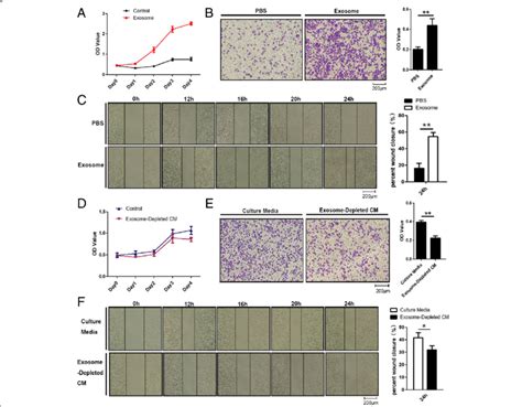 adipocyte exosomes promote breast cancer cell proliferation and download scientific diagram