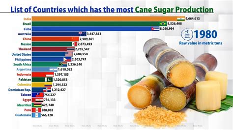 Largest Sugar Producer In The World 1960 2019 Fasusda Youtube