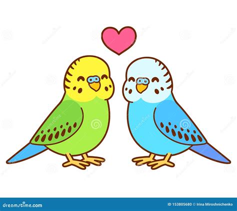 Cute Cartoon Budgie Couple Stock Vector Illustration Of Drawing