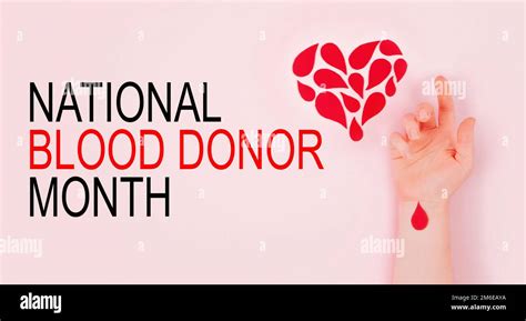 National Blood Donor Month Background Web Banner Blood Donor Day
