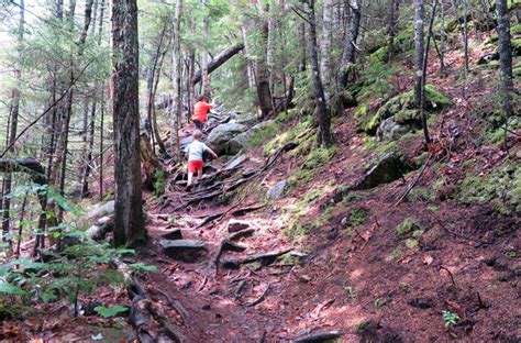 Arethusa Falls Trail Hike In Crawford Notch Nh Northeast Hikes