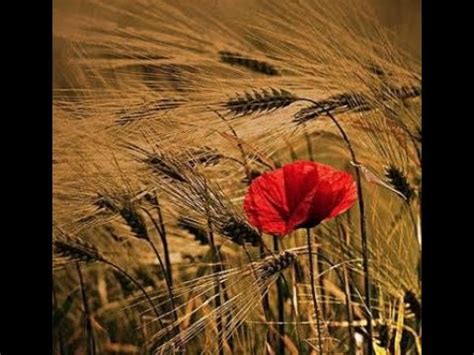 Como una sola flor seremos, como una flor, y nada más. Dame la mano di Gabriela Mistral - YouTube