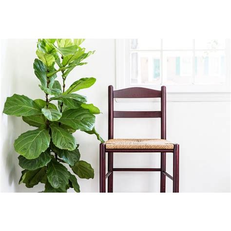 Bayley counter stool with woven rope seat. Solid Ash Wood 24" Counter-Height Stool with Woven Seat