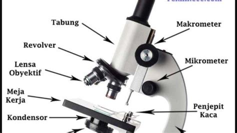 Mengenal Bagian Bagian Mikroskop Ada Bagian Optik Dan Mekanik Berikut