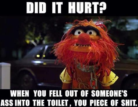 Pin By Parrish Hampton On Funny Real Muppets Haha Funny Funny