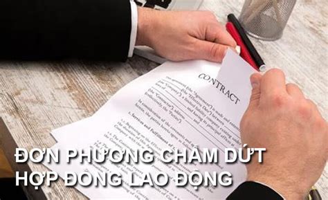 Tổng Hợp 12 đơn Phương Chấm Dứt Hợp đồng Lao động Tốt Nhất Hiện Nay Cho Vay Uy Tín