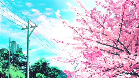 Pink Sakura Tree Anime Aesthetic Wallpapers Wallpaper Cave