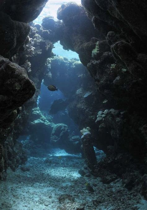 Underwater Caves Underwater Creatures Underwater World Underwater