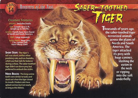 Saber Toothed Tiger Wierd Nwild Creatures Wiki Fandom Powered By Wikia