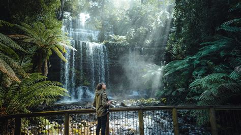 10 Must Visit Waterfalls In Southern Tasmania Hobart And Beyond