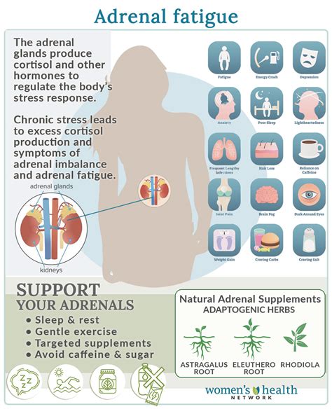 adrenal fatigue symptoms causes and treatments women s health network