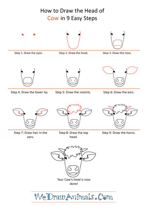 How To Draw A Easy Cow Face All About Cow Photos