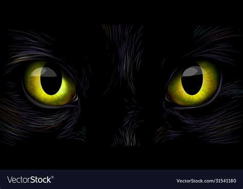 Black Cats Big Yellow Eyes Close Up Royalty Free Vector