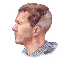 Short faux hawk viking hairstyles. What hairstyles did Vikings have? - Quora