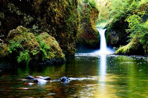 15 Top Rated Waterfalls In Oregon Planetware