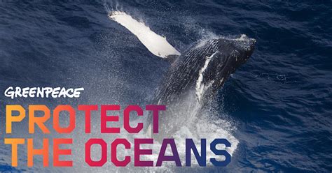 Ocean Sanctuary Petition Greenpeace