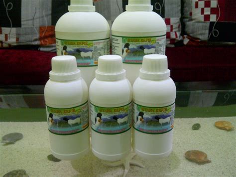 Healthy royal marketing sangat terpercaya di negeri malaysia, merupakan company yang bergerak dalam produksi susukambing. SUSU KAMBING DAN KEFIR ETAWA BEKASI: JUAL KEFIR SUSU ...