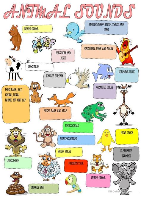 Animal Sound Worksheet For Kindergarten