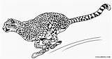 Cheetah Coloring Pages Running Printable Kids Cool2bkids sketch template