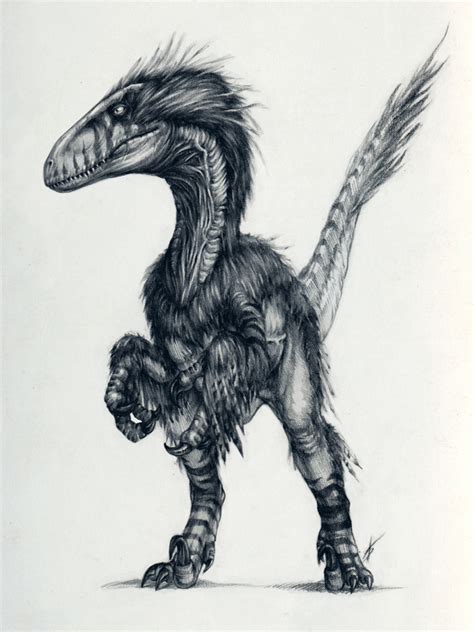 Deinonychus Portrait By Dantheman9758 On Deviantart P