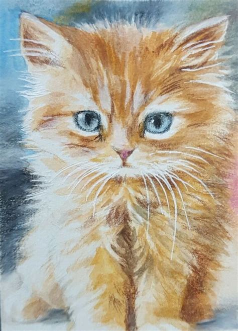 New Very Cute Cat Original Aceo Acrylic Colored Pencil Painting Art