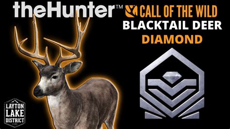 Diamond 😲 Blacktail Deer Grey In Thehunter Call Of The Wild Layton