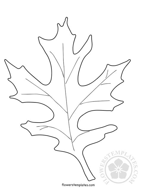 Free coloring sheets to print and download. Oak Leaf shape coloring page | Flowers Templates