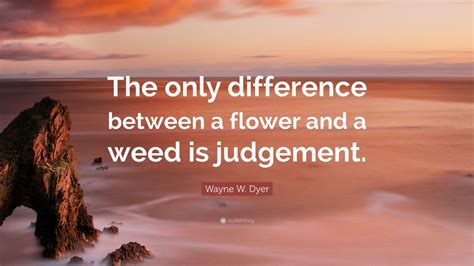 We did not find results for: Wayne W. Dyer Quote: "The only difference between a flower and a weed is judgement."