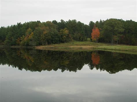 It is located on 1,597 acres along the shoreline of the john h. Staunton River State Park - Scottsburg, VA - Virginia ...