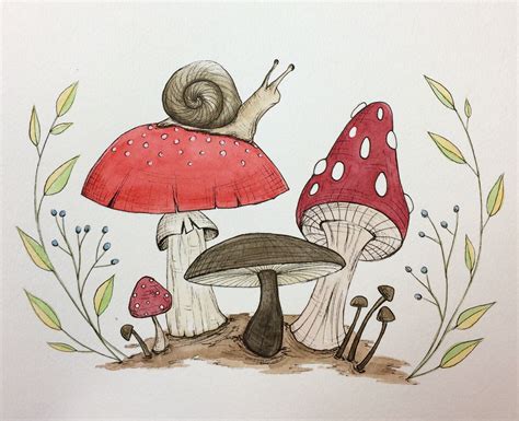 Image Result For Watercolor Mushroom Mushroom Art Drawings