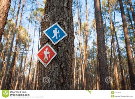 Hiking Trail Markers In Forest Stock Image Image Of Blaze Nature