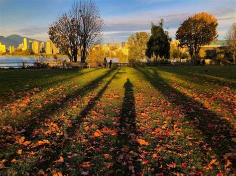 9 Best Spots To See Fall Foliage In Vancouver