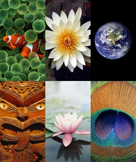Get Nostalgic With These 20 Original iPhone Wallpapers from iPhone OS 1