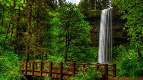 Nature View Trees Forest Park Bridge Waterfall Water Landscape Scenery
