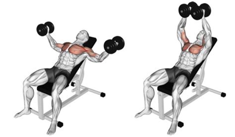 The Incline Dumbbell Fly 101 How To Exercise Your Upper Chest