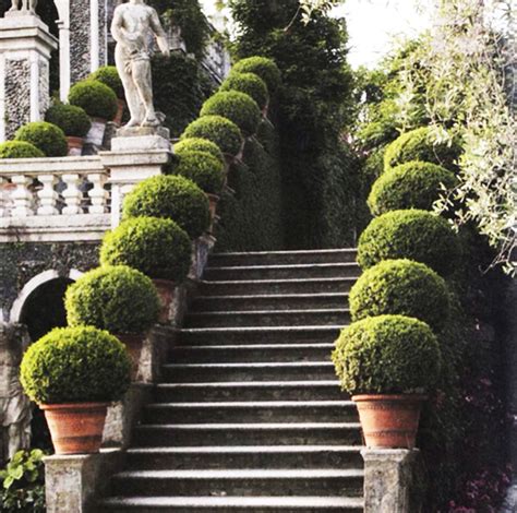 Madabout Garden Design Topiary Formal Garden Historical Italian Garden