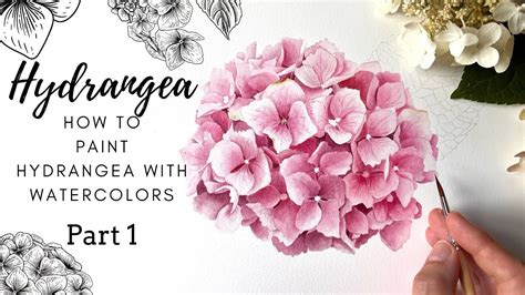 How To Paint Hydrangea With Watercolors Part Realistic Hydrangea