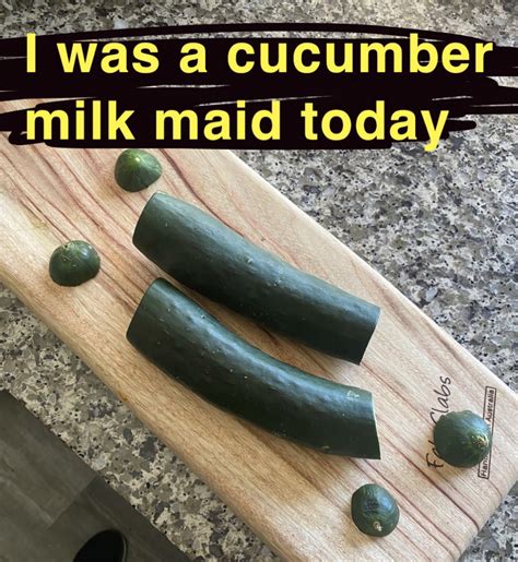 Apparently If You Milk A Cucumber It Makes It Taste Better So I Tried