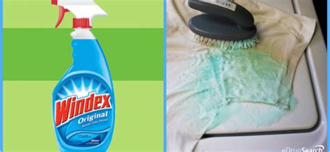 6 Awesome Uses For Windex You Should Know Grandmas Things