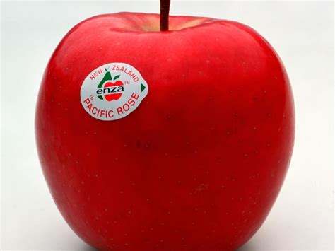 We did not find results for: APPLE Pacific Rose™