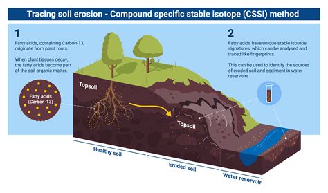 Soil Erosion Prevention Techniques