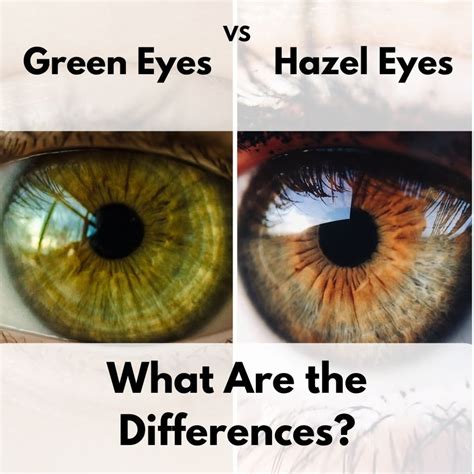 What color is hazel